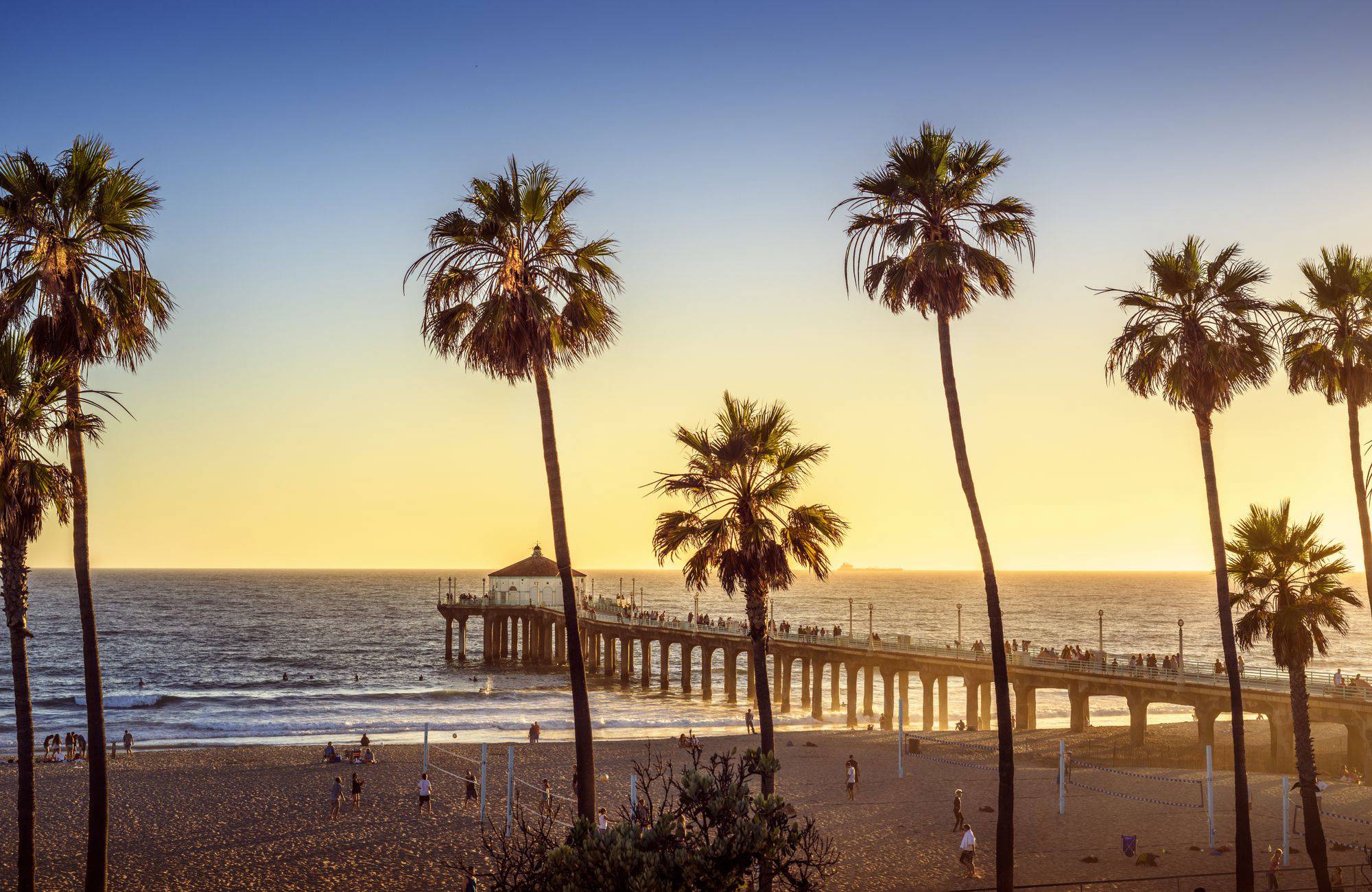 los-angeles-west-coast-palm-trees-cover