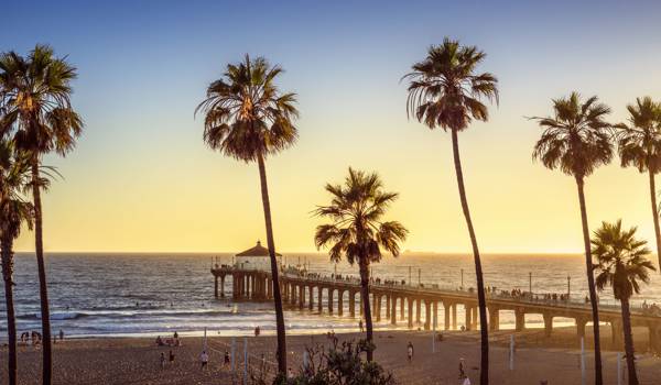 los-angeles-west-coast-palm-trees-cover