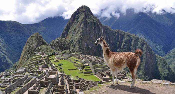 Vandra upp till Machu Picchu när du besöker Peru
