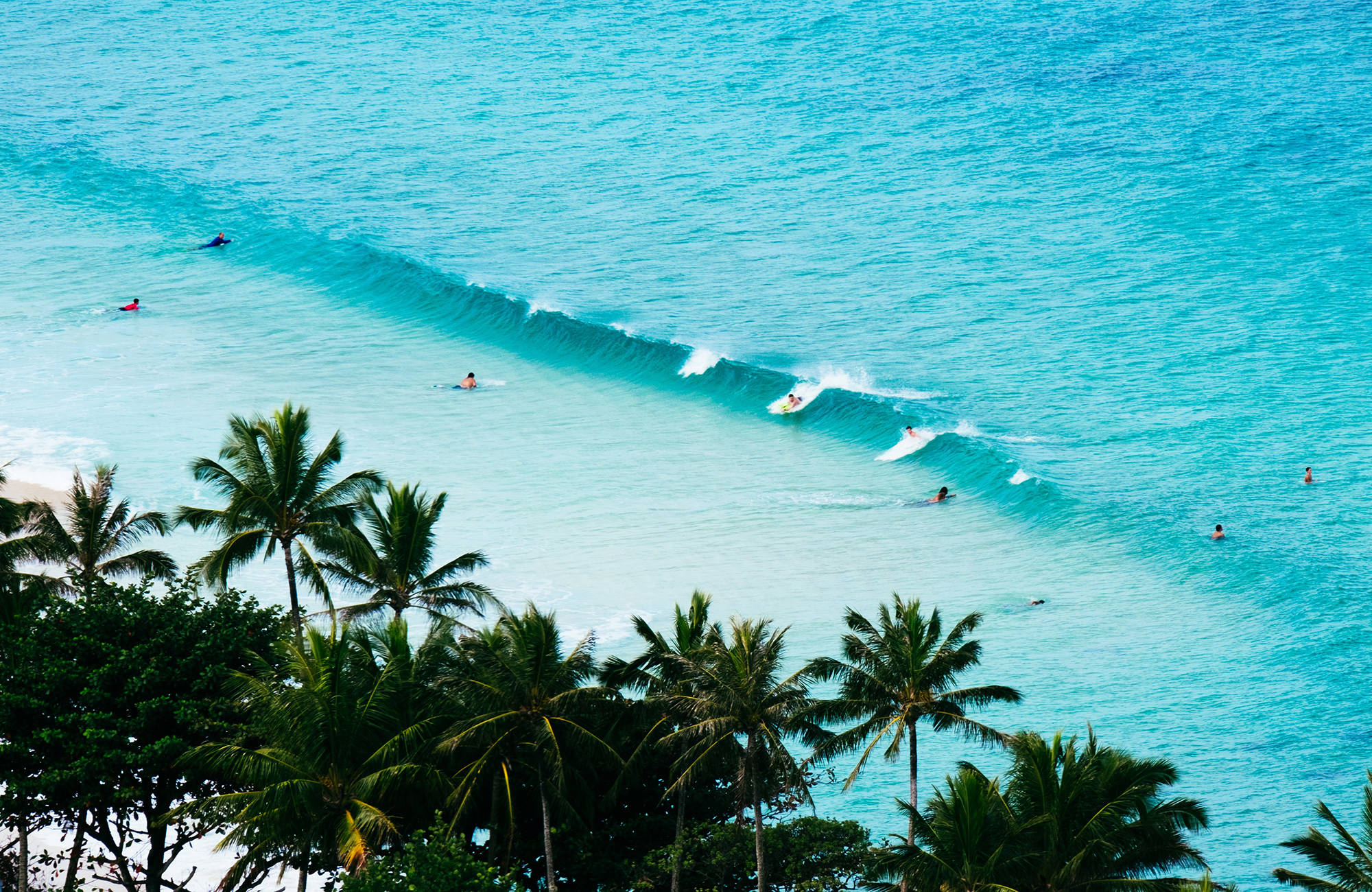 Studera på Hawaii | Surfa på fritiden