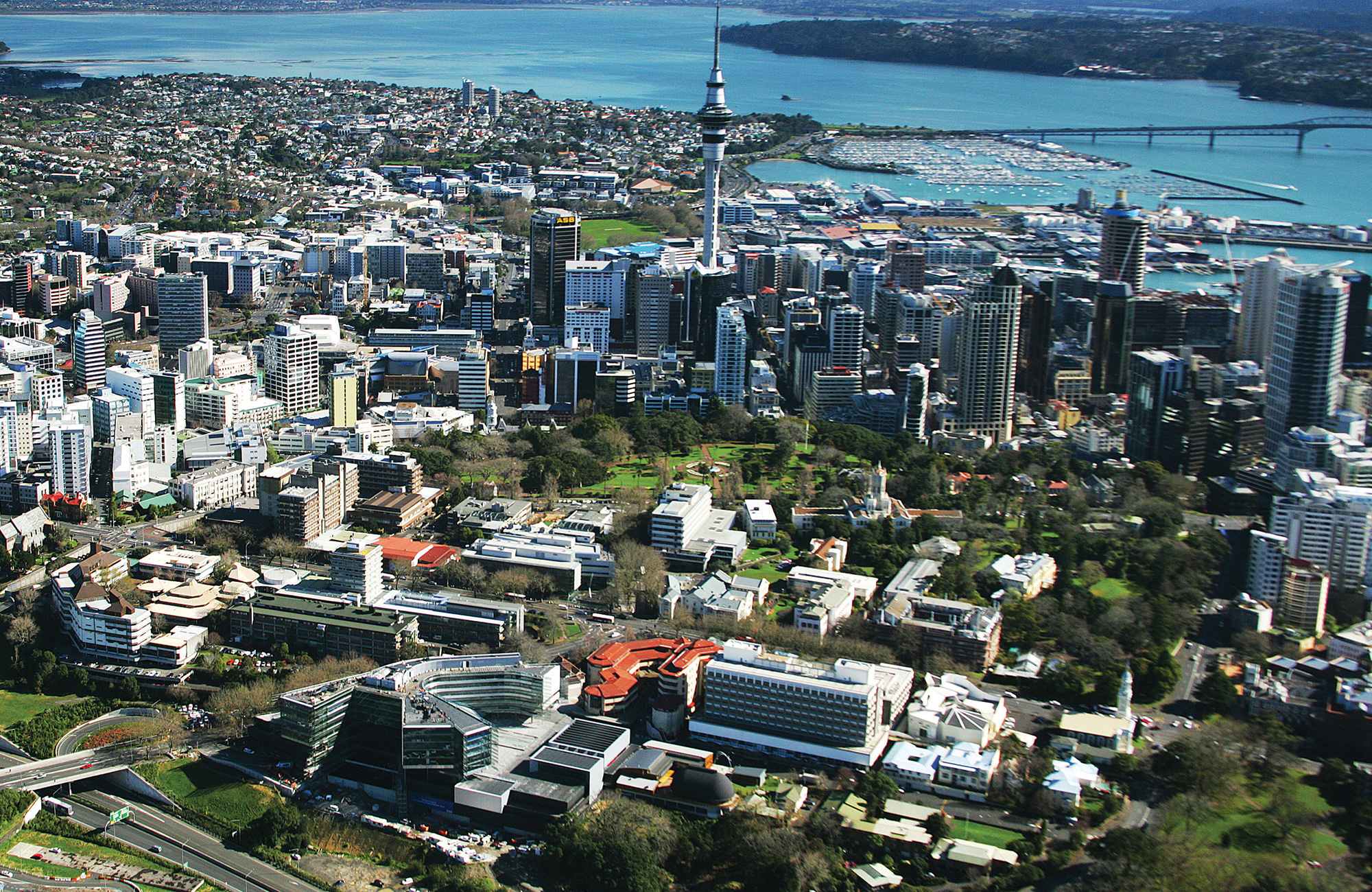Studera i Auckland