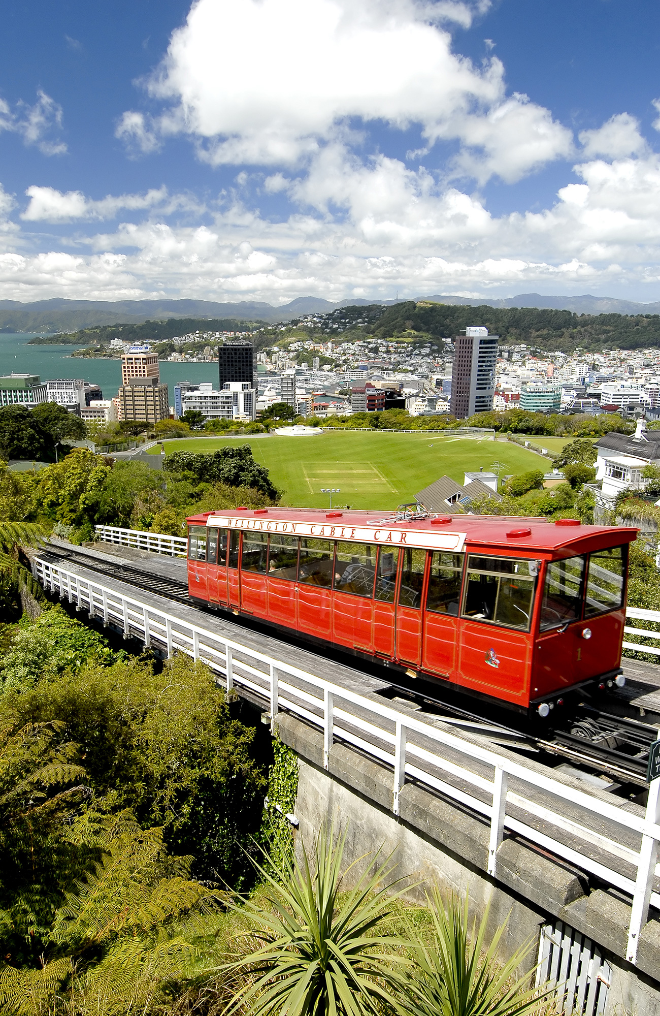 victoria-university-of-wellington-city-view
