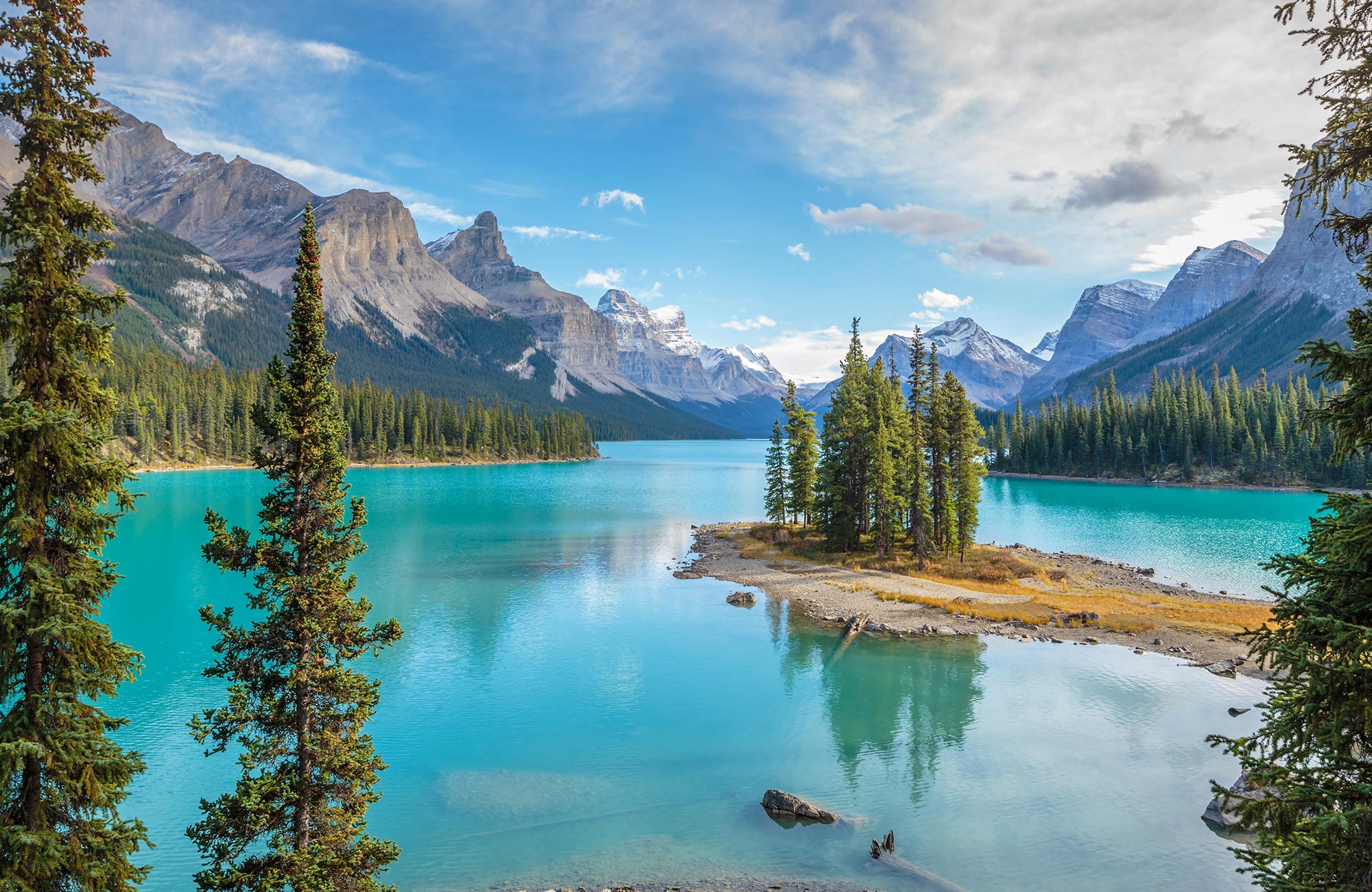 alberta-jasper-cover