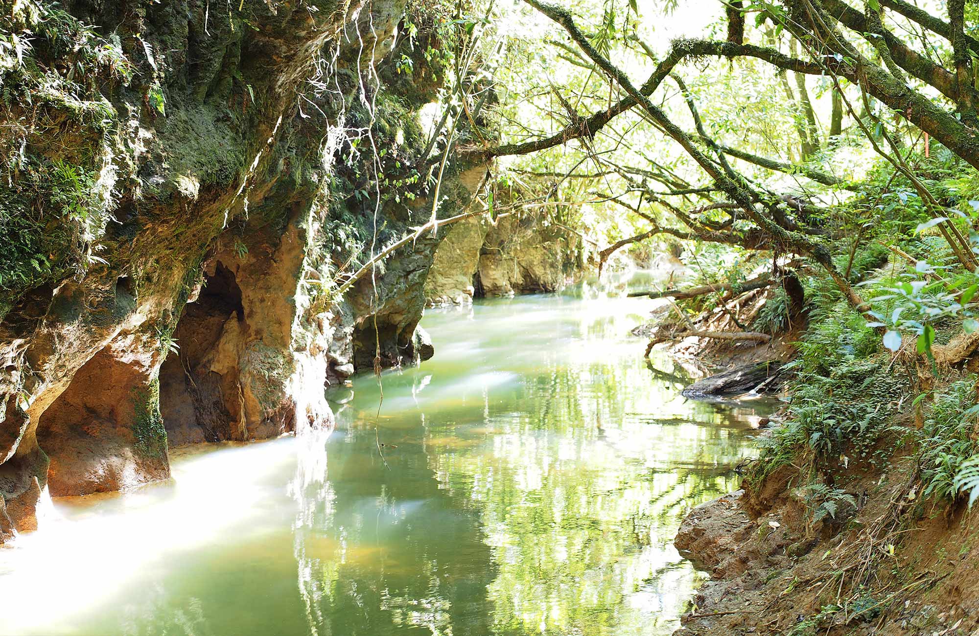 Waitomo Caves i Nya Zeeland