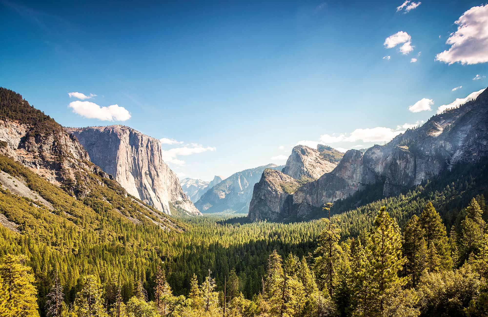 Yosemite National Park på din roadtrip i USA