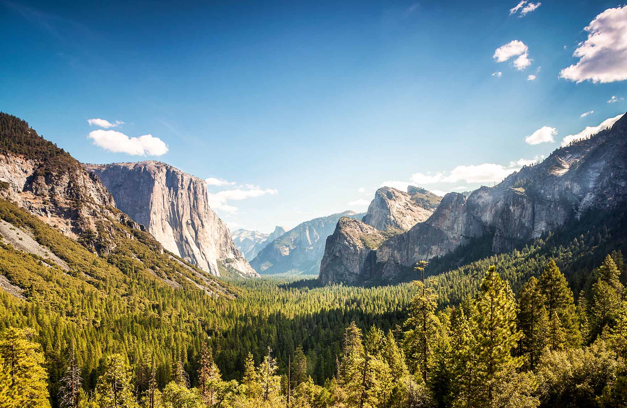 Yosemite National Park