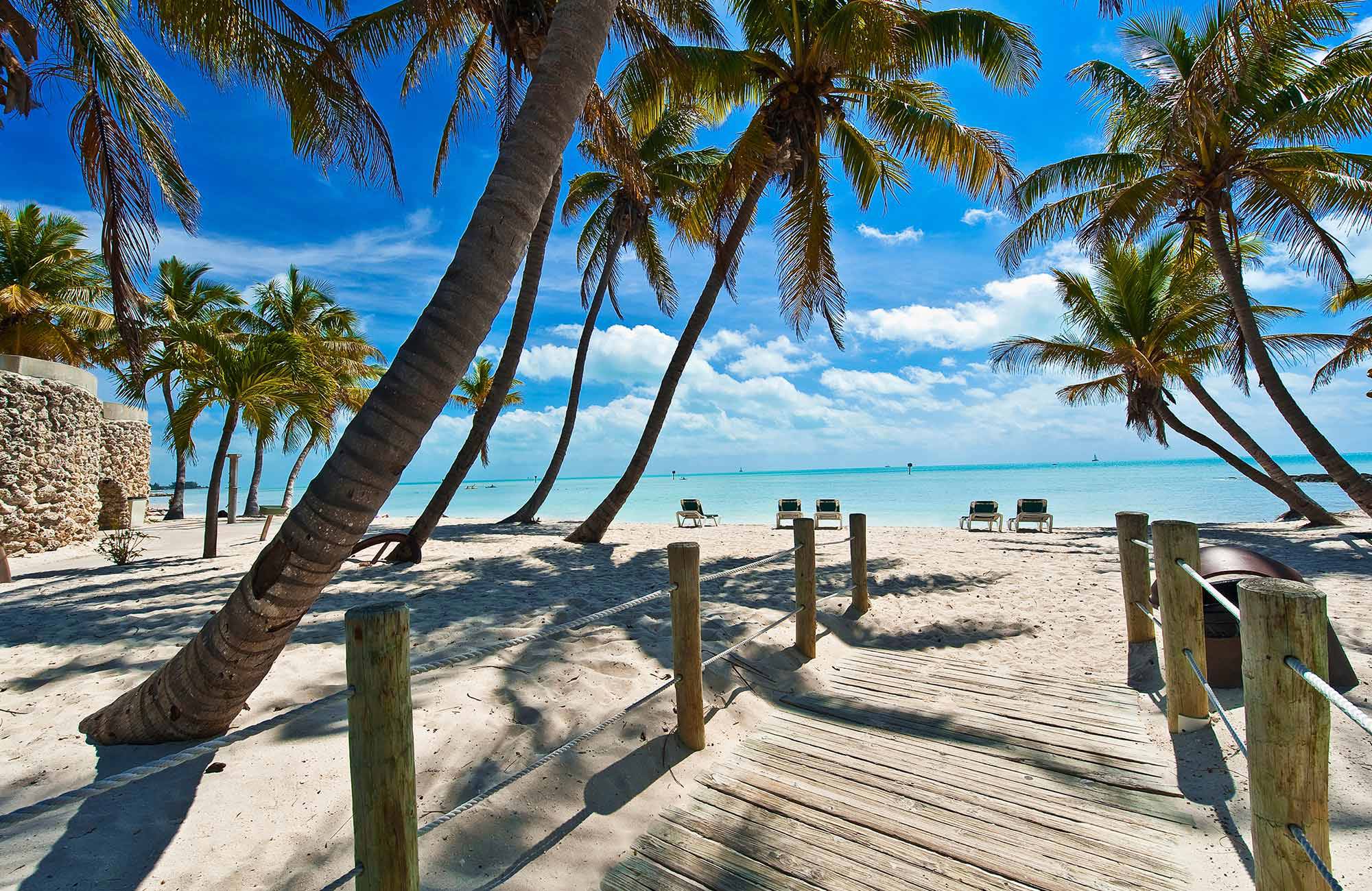 En strand med palmer i Florida.