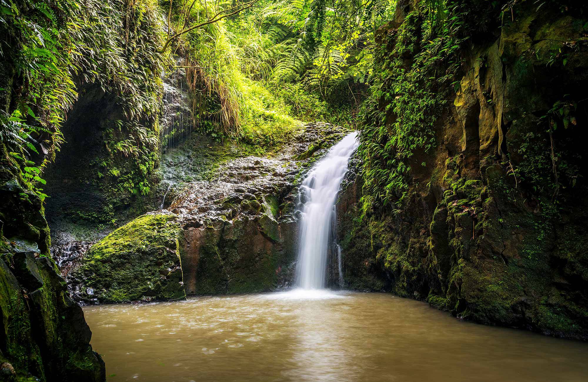 maunawili falls kan besökas under en resa till hawaii