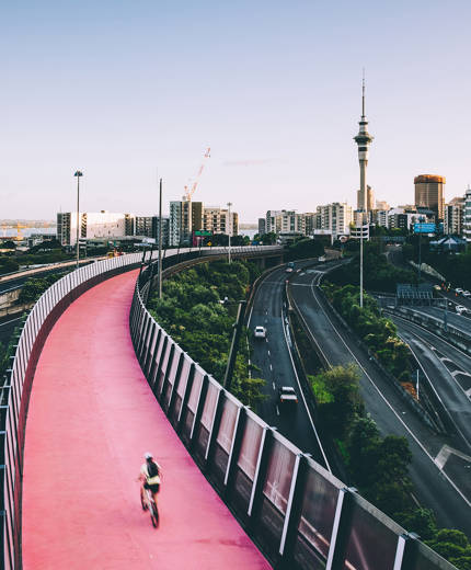 Person cyklar på en rosa cykelväg i Auckland.
