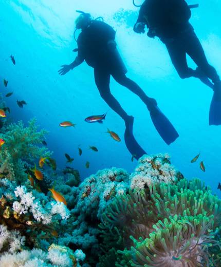 två dykare och koraller vid seychellerna
