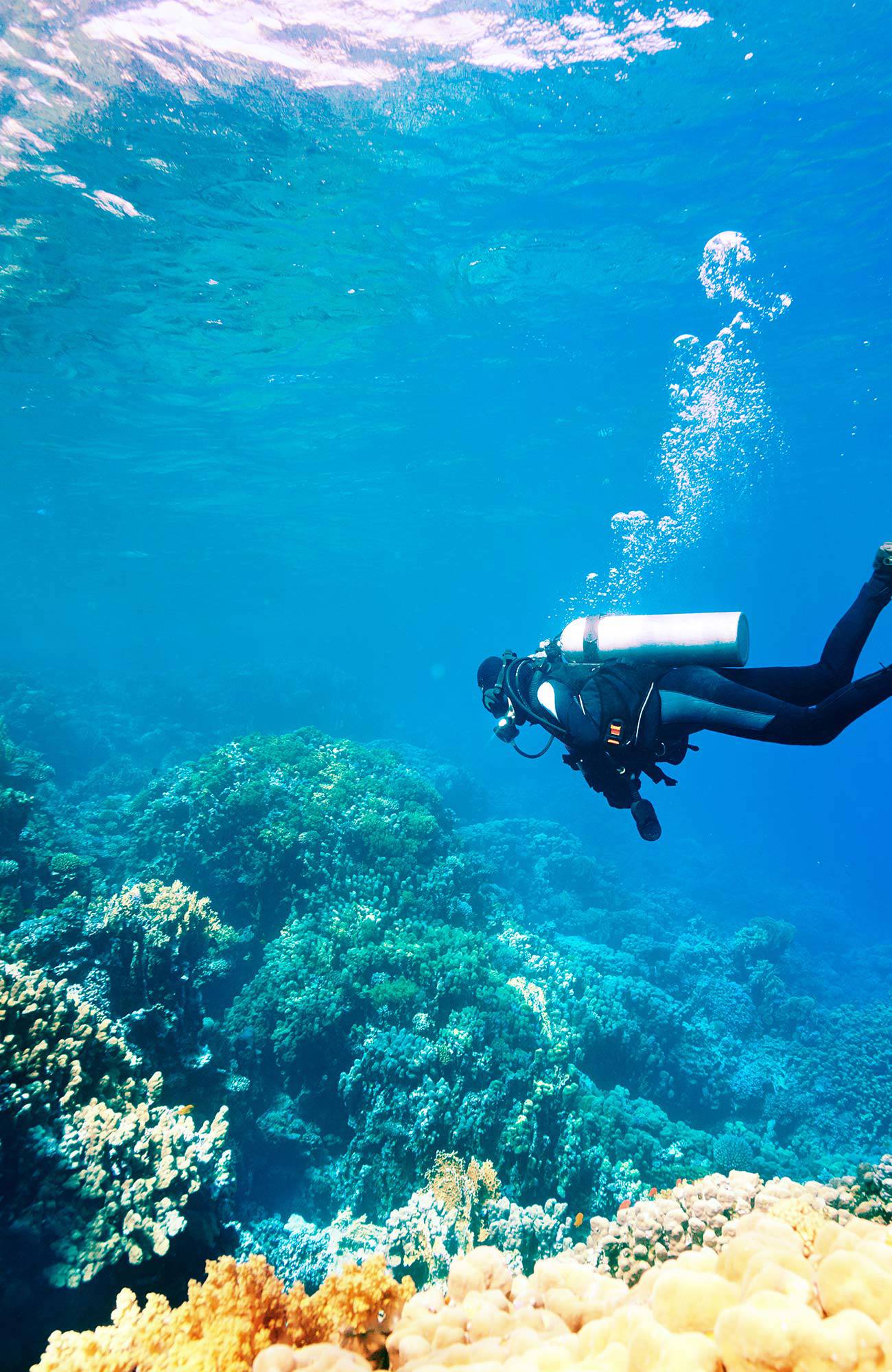 diving-scubadiver-sidebar