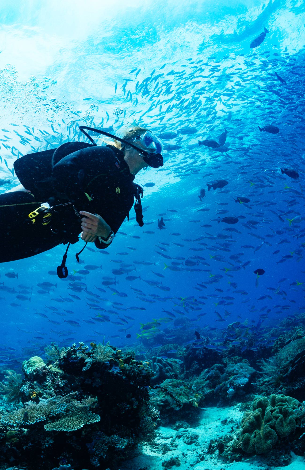 Dykning i Nordamerika | Ta dit dykcertifikat i Nordamerika