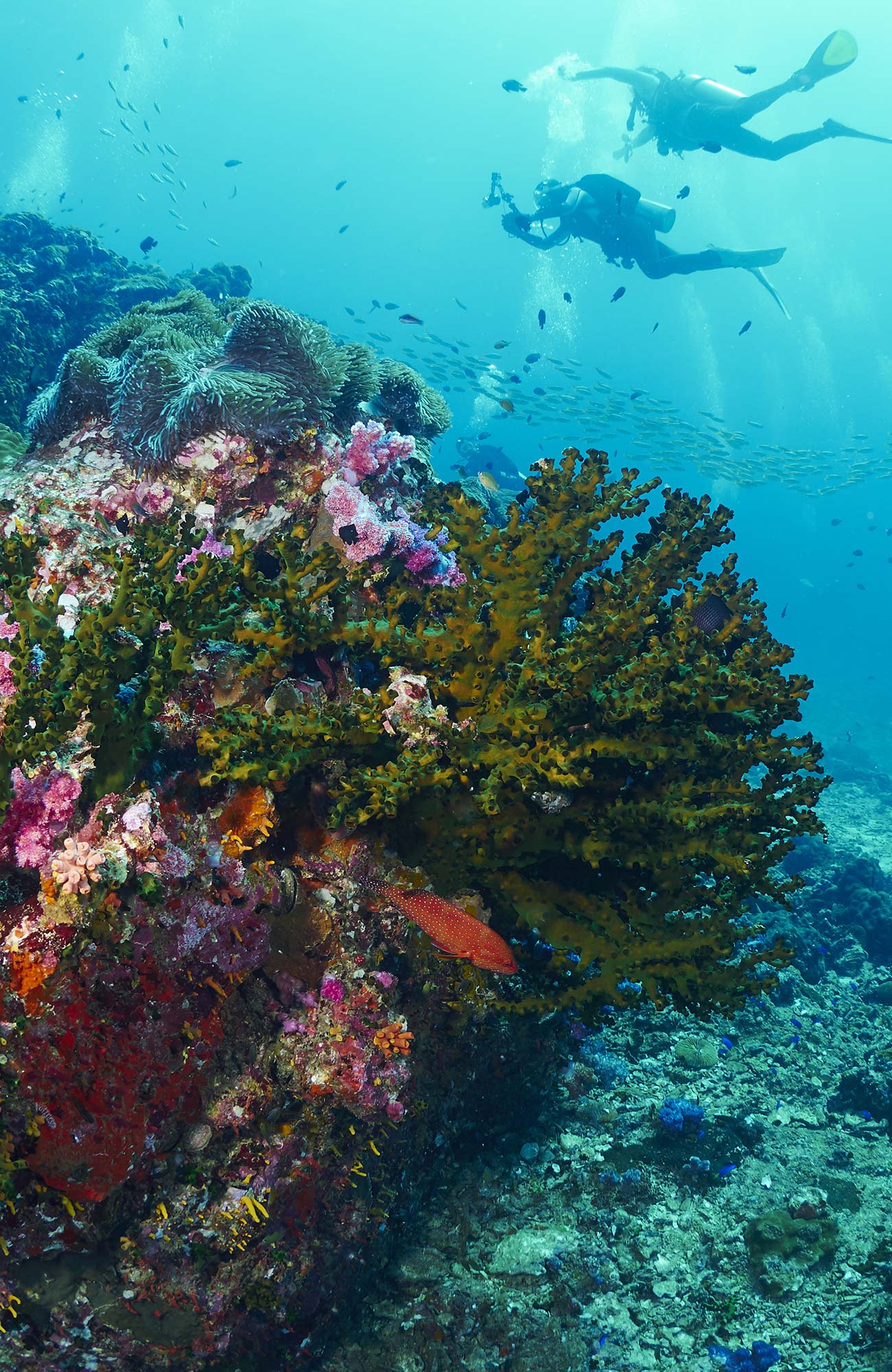 Studera naturvetenskap utomlands