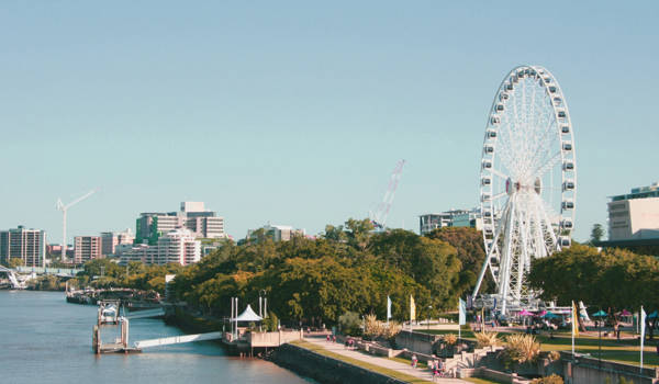 brisbane-edu-lawn