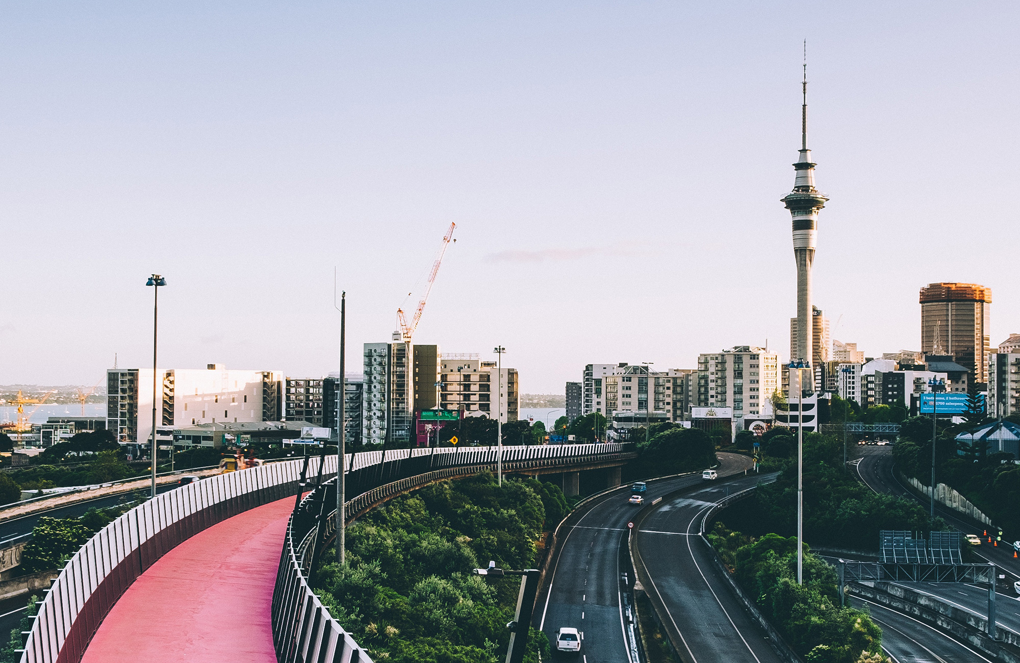auckland-edu-skyline-bike-bridge