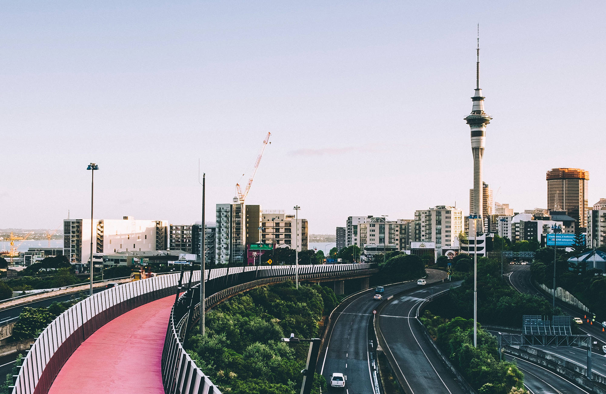 Studera i Nya Zeeland och beskåda Aucklands skyline