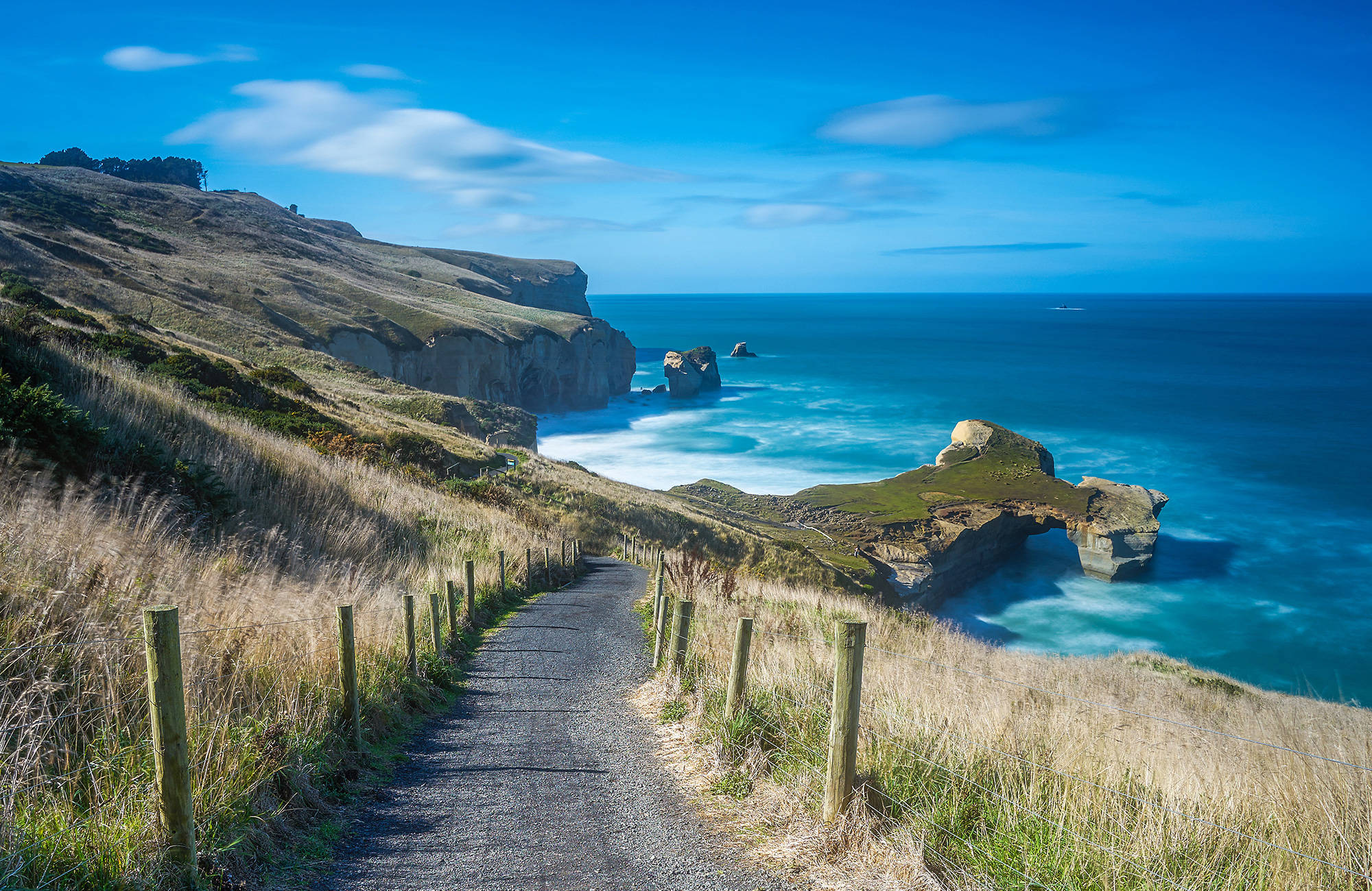 Upplev äventyr som student i Nya Zeeland