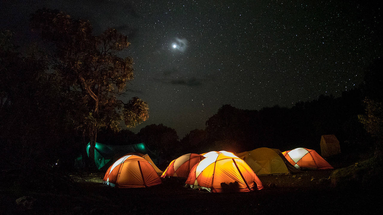 Tält under bar stjärnklar himmel under en resa till Kilimanjaro.