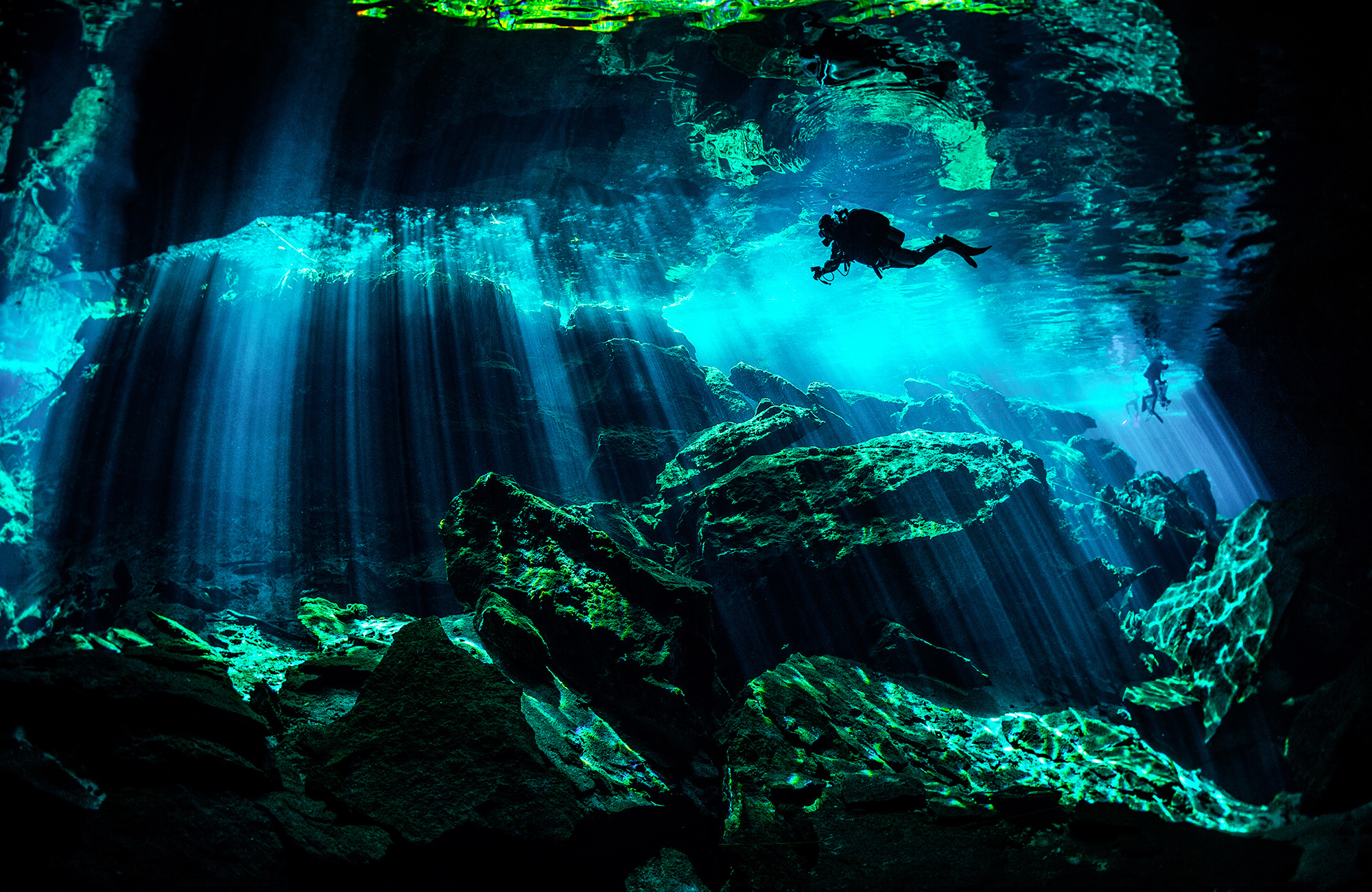 Dykning i Nordamerika | Ta dit dykcertifikat i Nordamerika