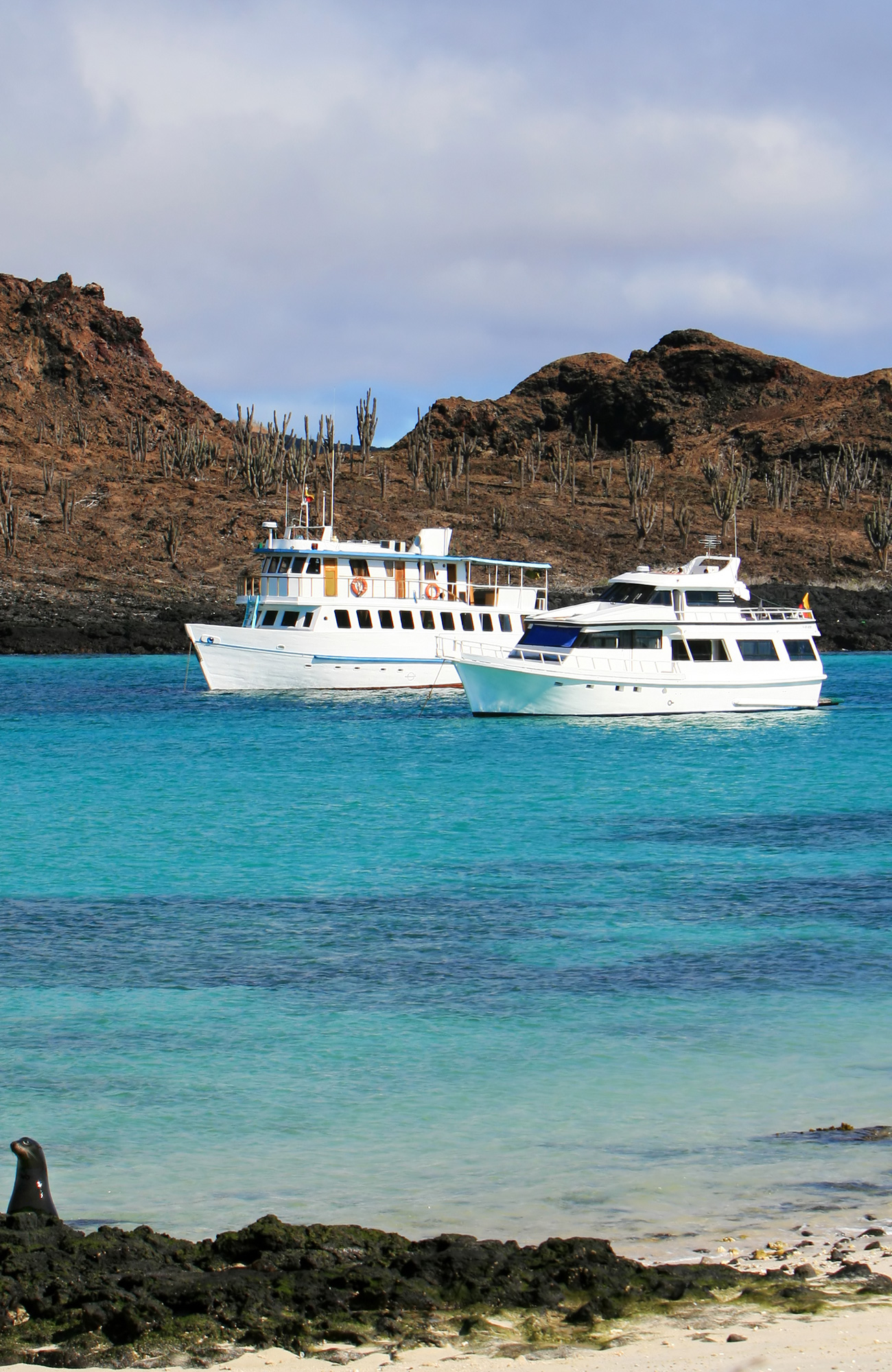 Båtluffa i Ecuador | Segla rund Galapagos | KILROY
