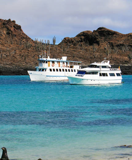 Båtluffa i Ecuador | Segla rund Galapagos | KILROY