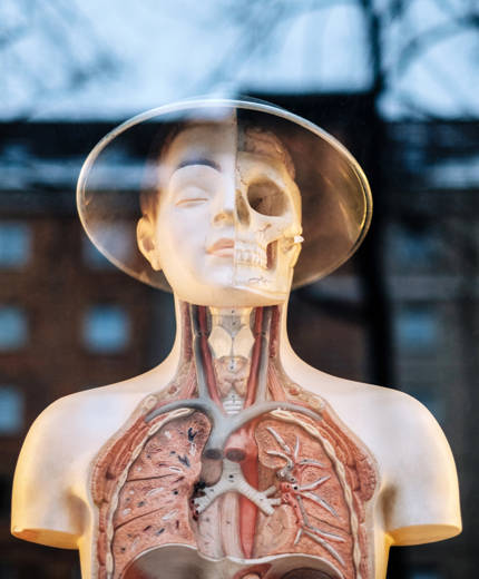 Studera hälsa utomlands