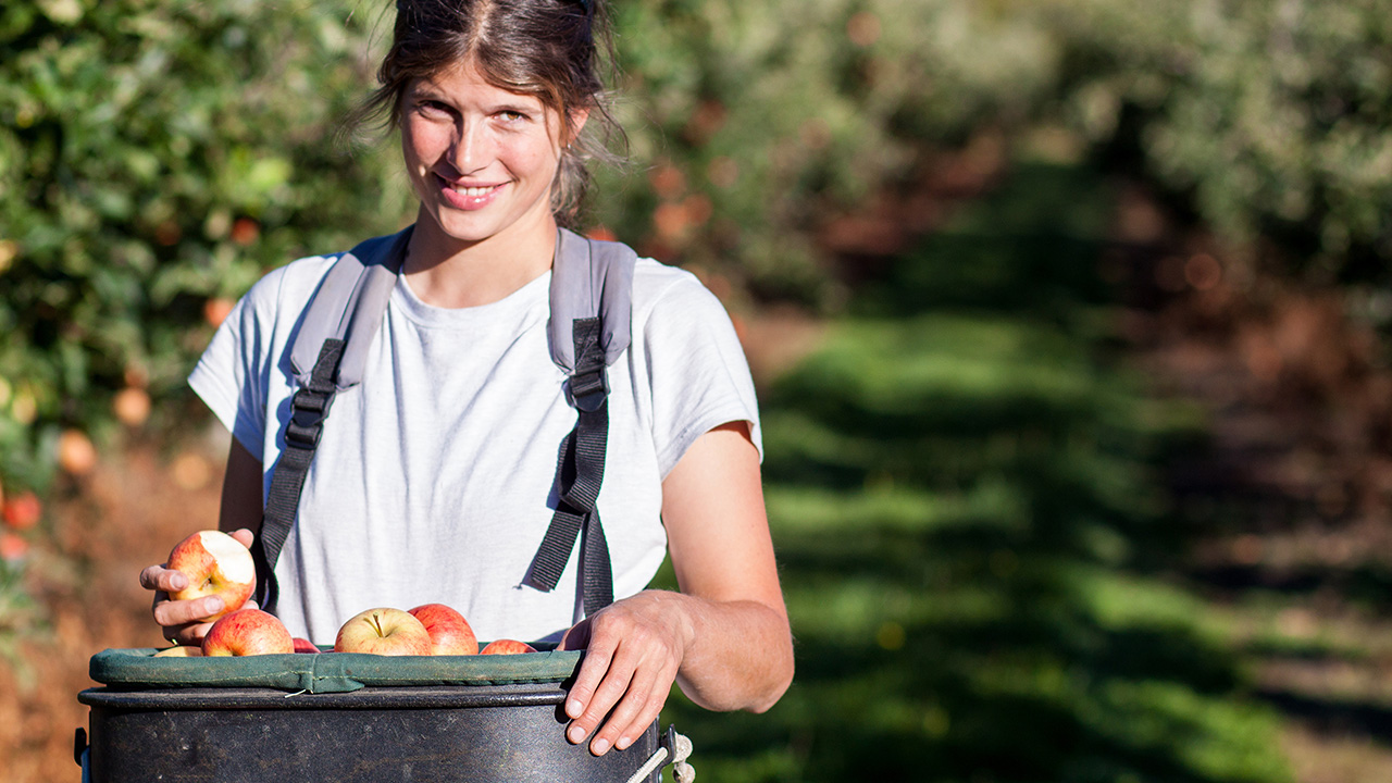 Studera jordbruk utomlands
