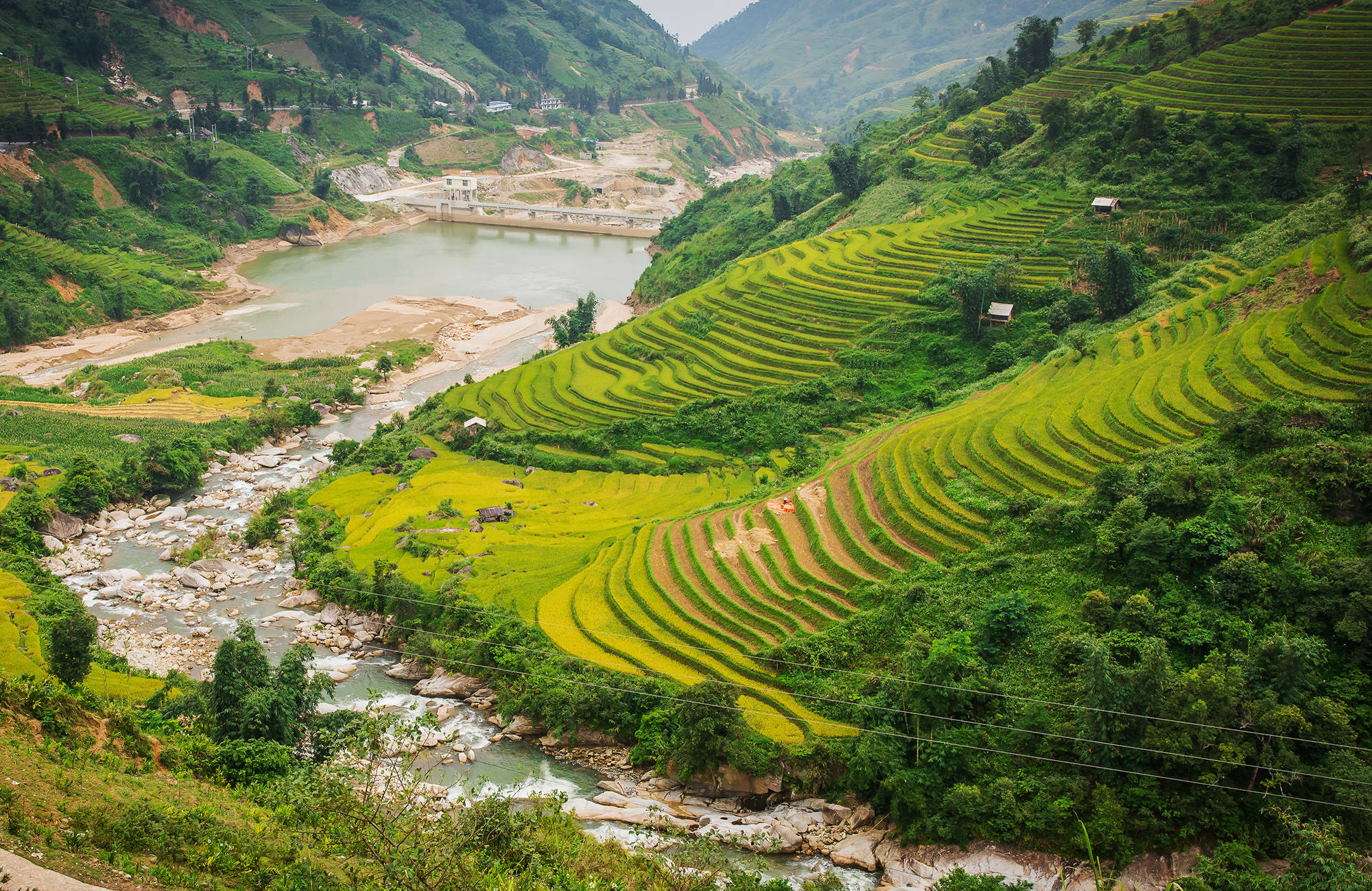 risfält under en resa till vietnam