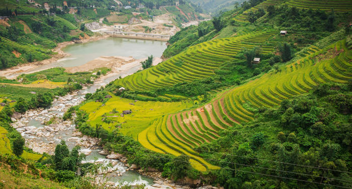Vietnams vackra natur