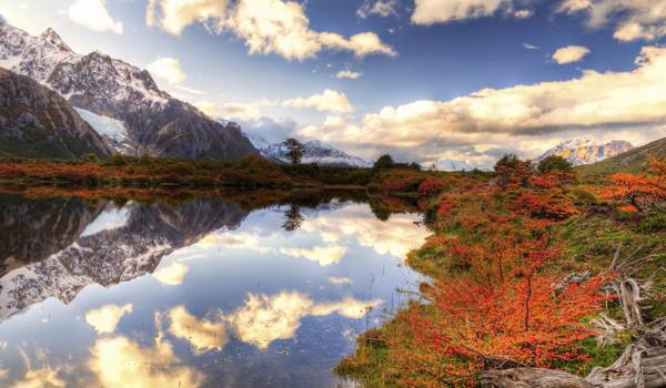 argentina-patagonia-valle-de-chalten-fall-foliage-cover