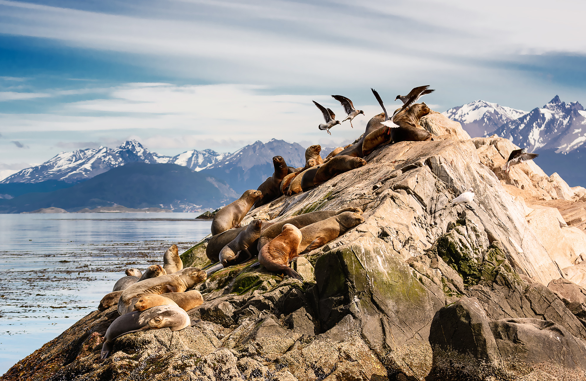 Upptäck Ushuaia