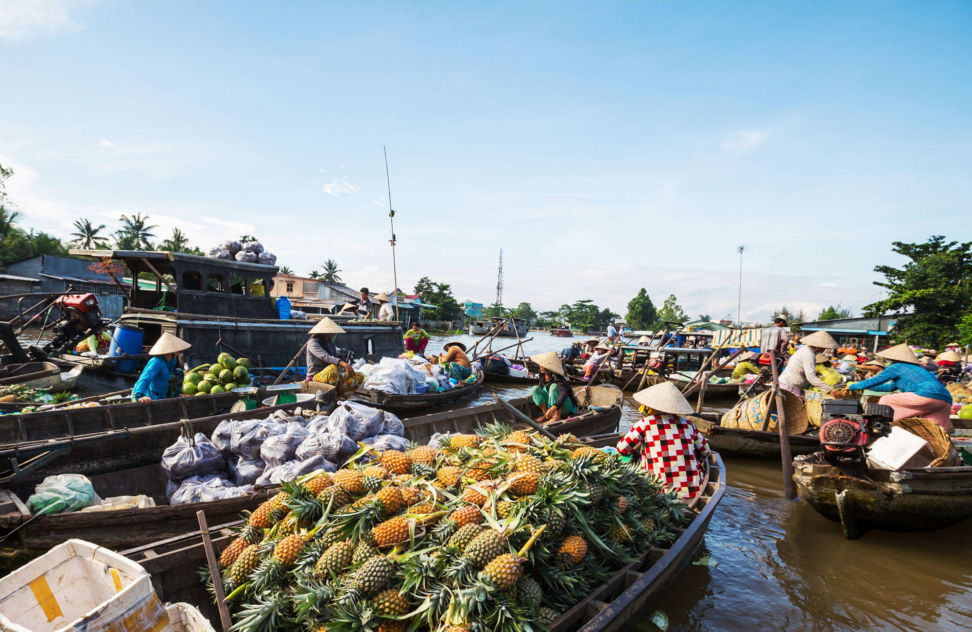 besök en flytande frukmarknad på mekong delta unde en resa till vietnam