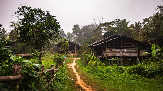 hus i regnskogen i thailand