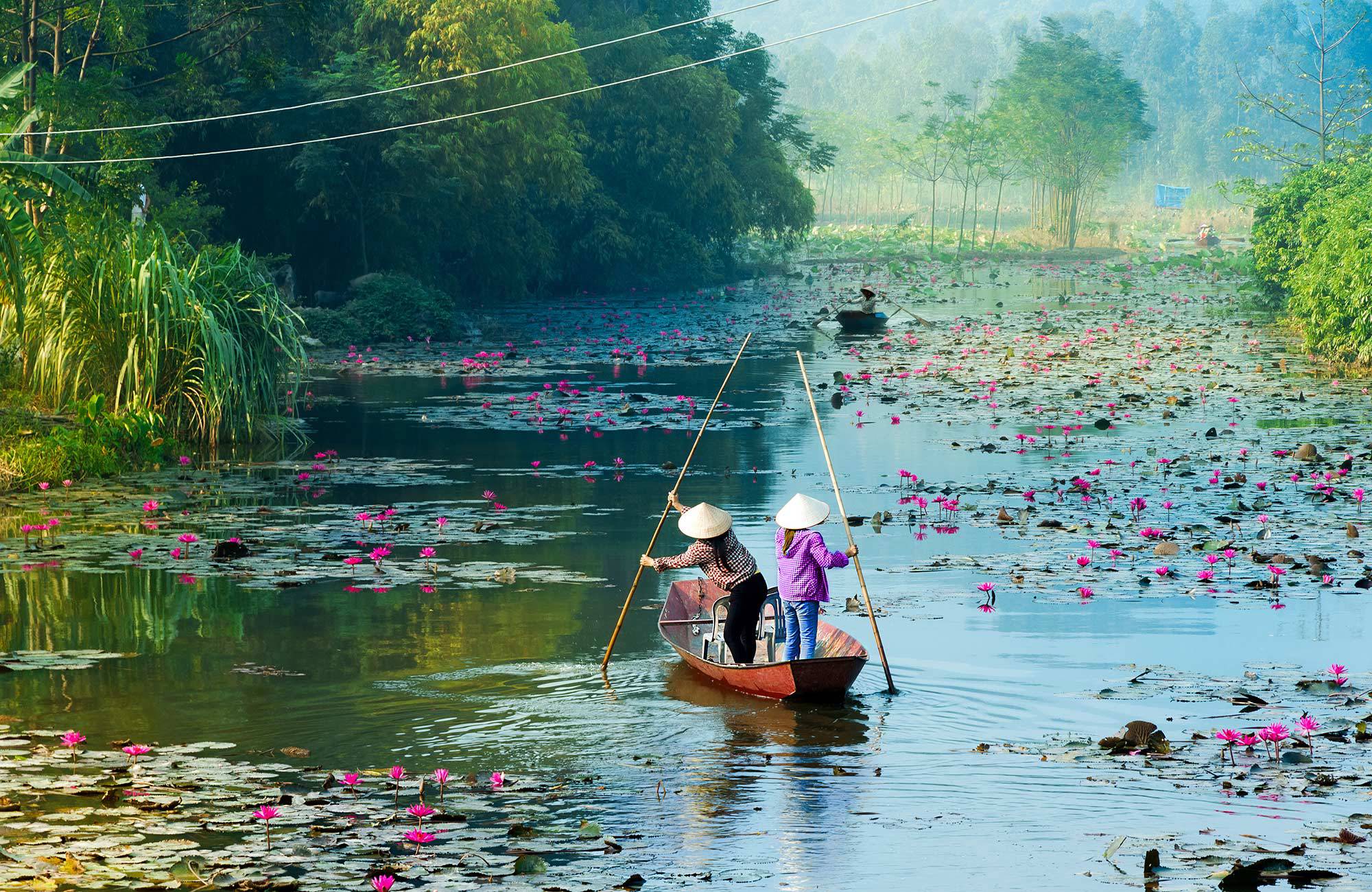 två personer med solhattar paddlar på en kanal med rosa näckrosor
