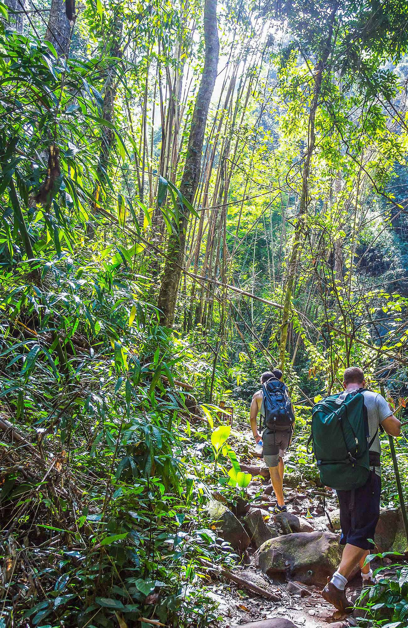 thailand-jungle-trekkers-backpack
