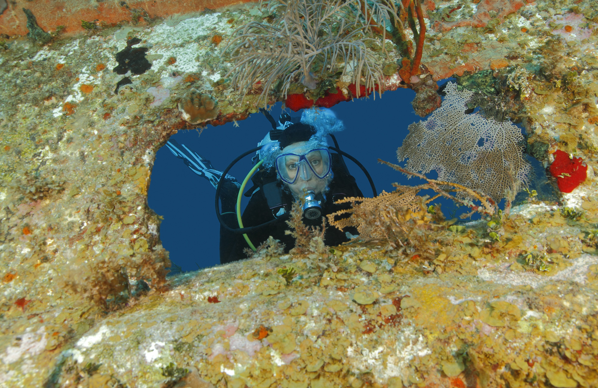 Dykning i Honduras | Dykcertifikat i Honduras | KILROY