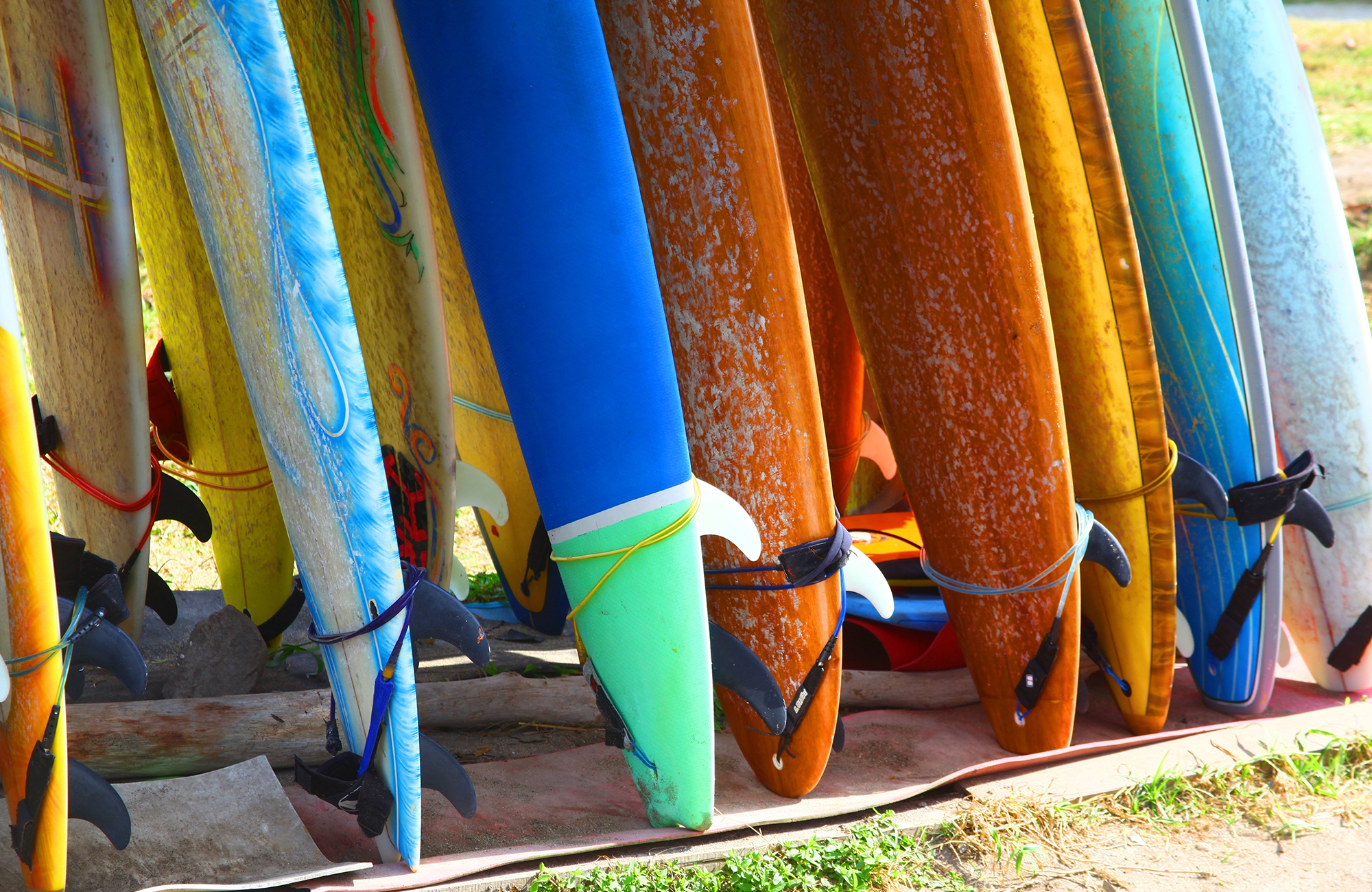 Surfing i Brasilien | Surfcamp i Brasilien | KILROY