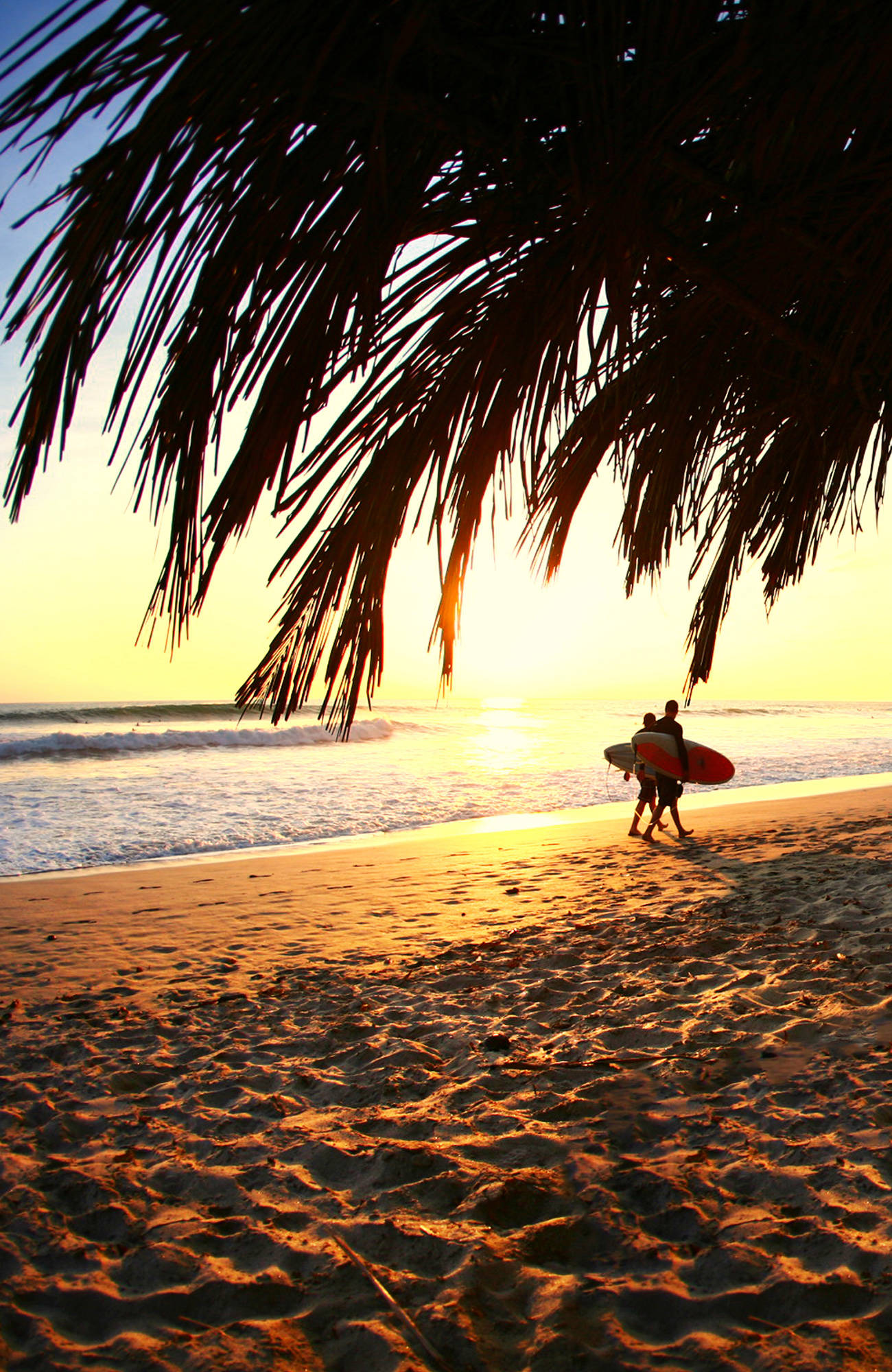 surfing-costa-rica-sunset