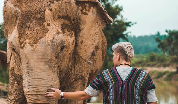 volunteering-asia-thailand-volunteering-animals-elephant-person-cover