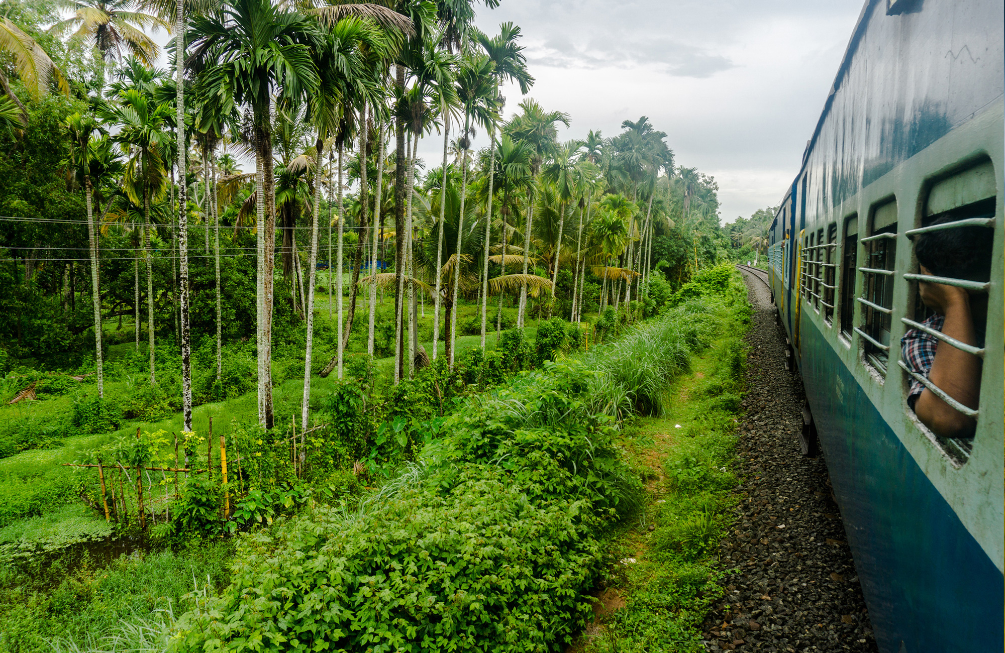 Tåg i Inden som kör förbi palmer