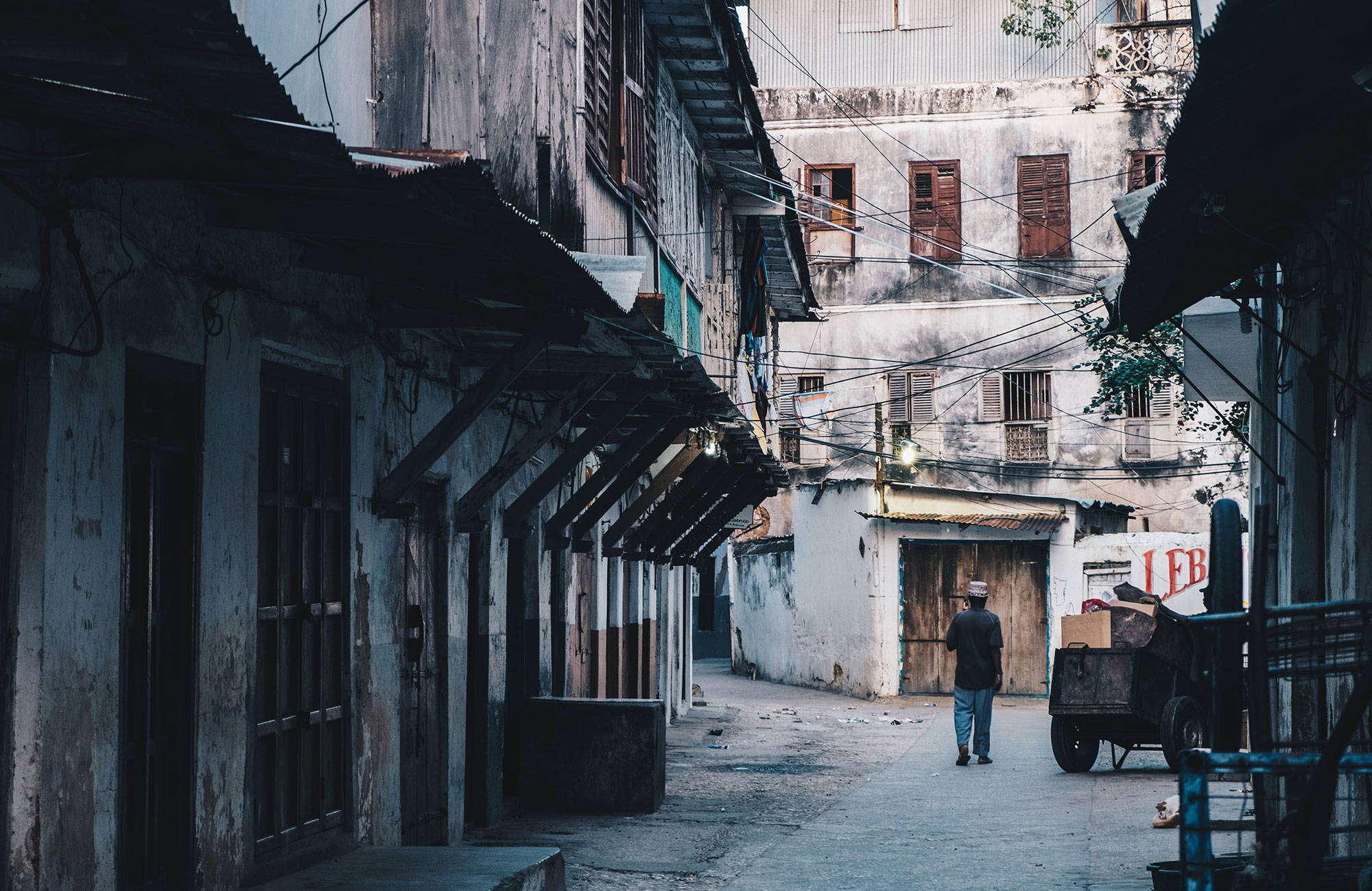 En gata och en man som går under en resa till Zanzibar.