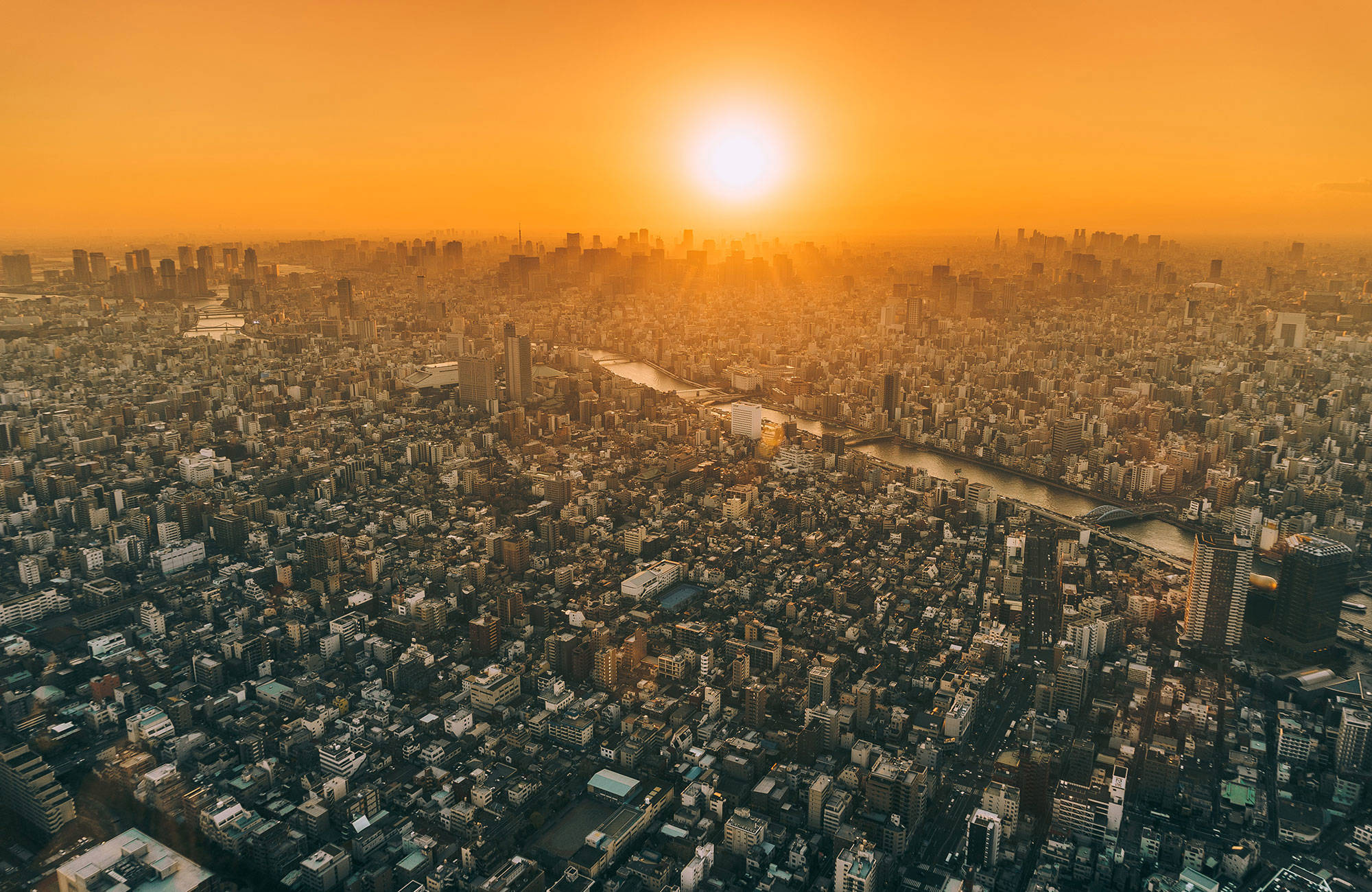 soluppgång över tokyo
