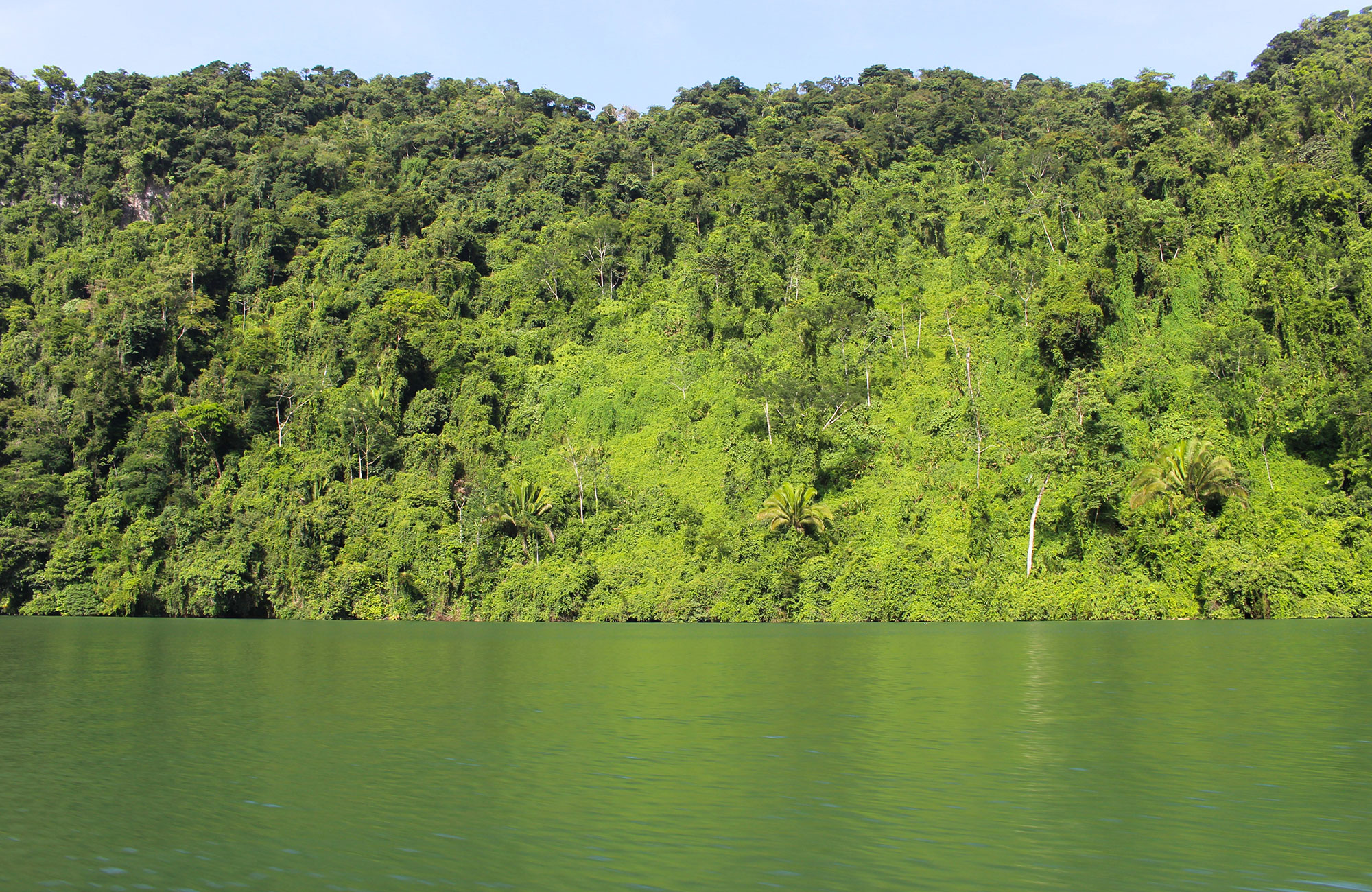 Volontärarbete i Guetamala med KILROY