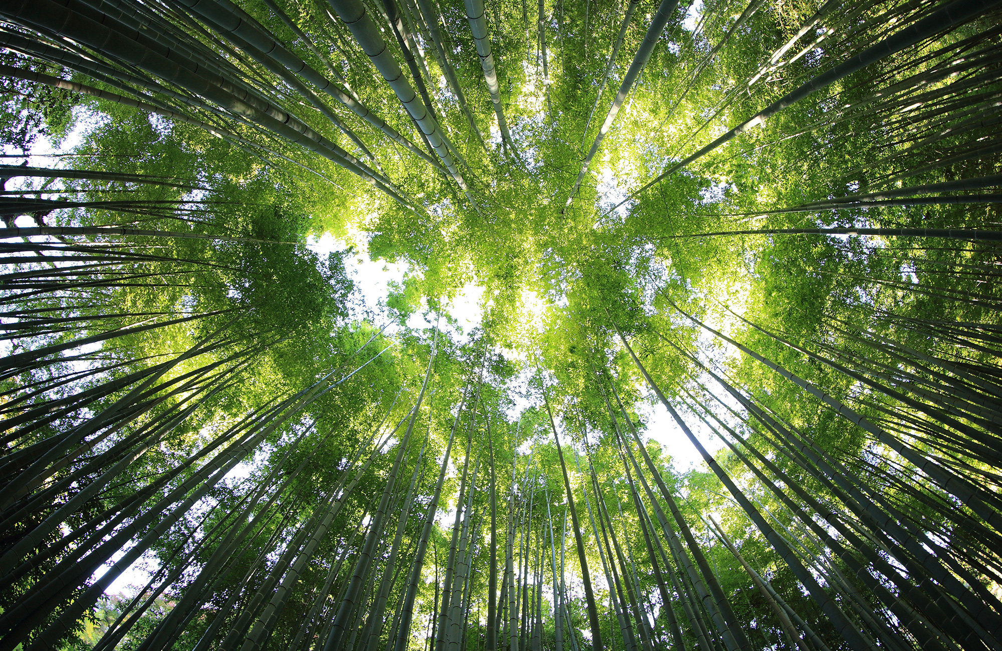 Biologi på gruppresan