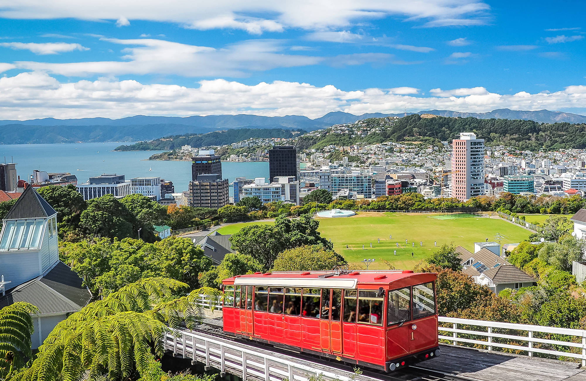 new-zealand-wellington-city-view-day-time