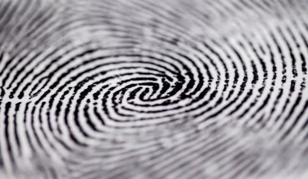 study-field-criminology-finger-print