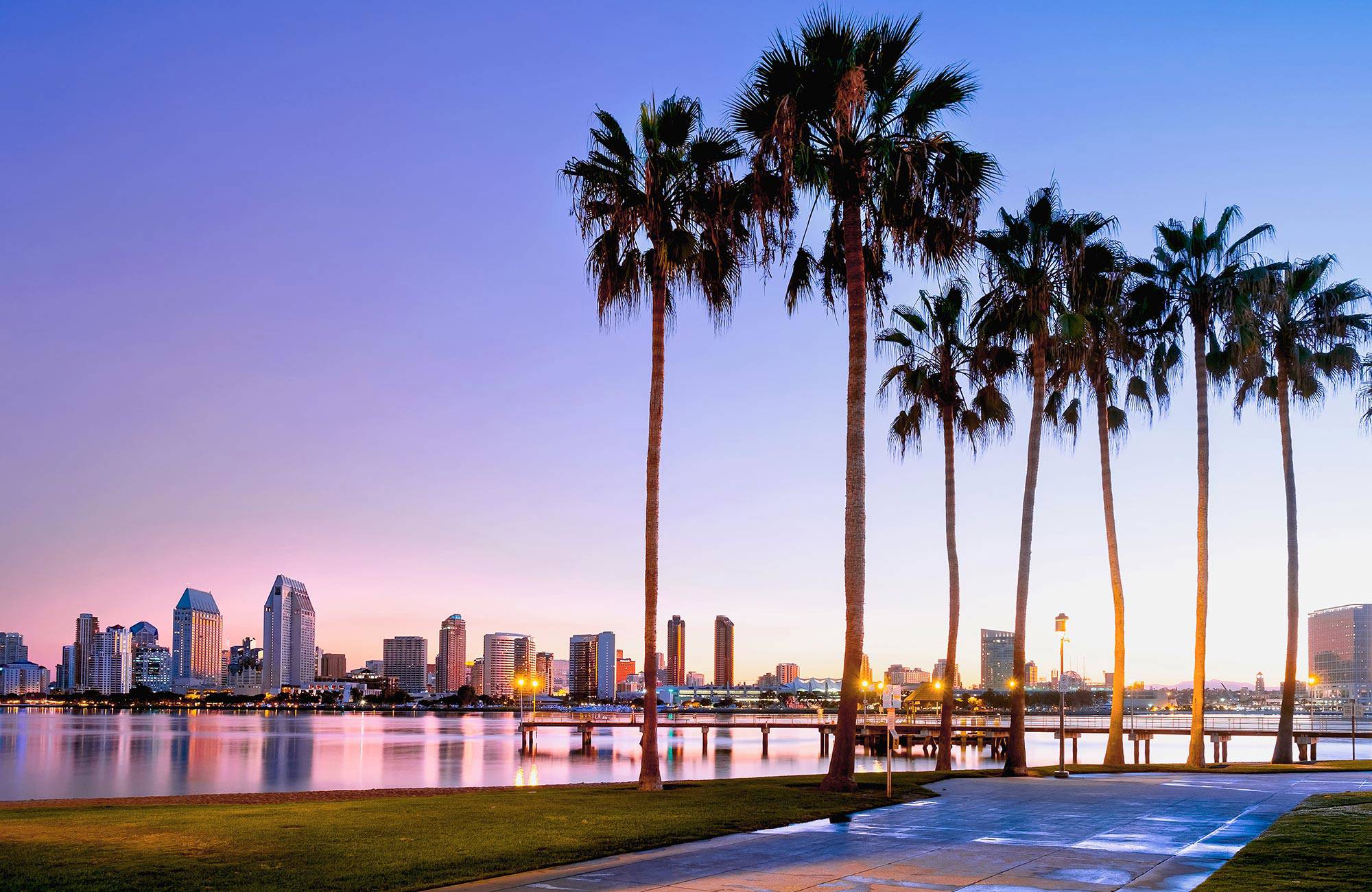 Studera i San Diego och lev bland palmer och neonljus