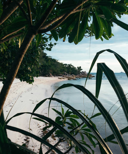 Strand och djungel i Koh Phangan