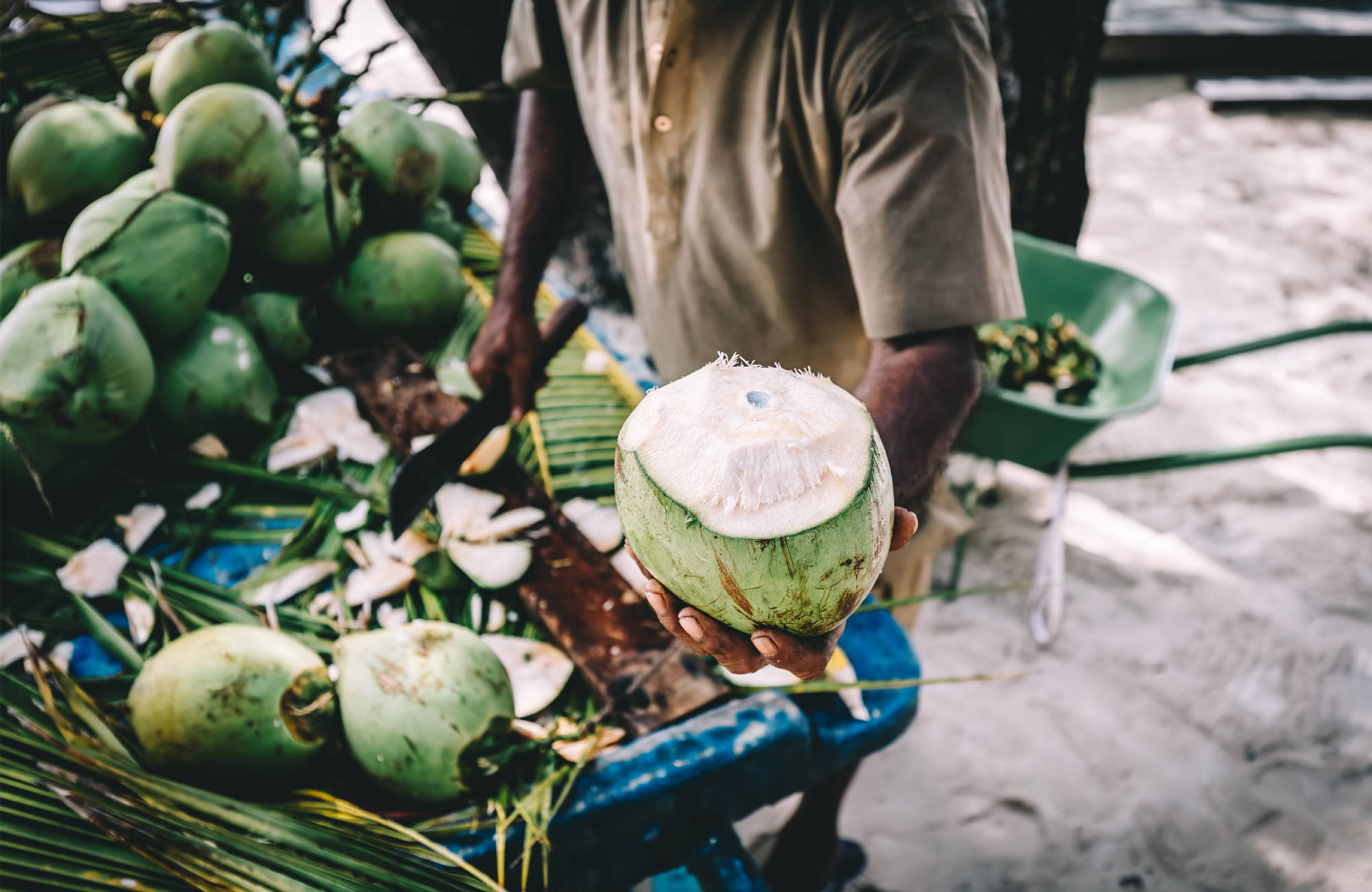 Njut av en nyplockad kokosnöt under din Maldiverna resa.