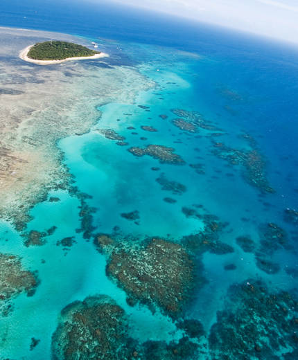 Missa inte dykning i Carins på din resa i Australien